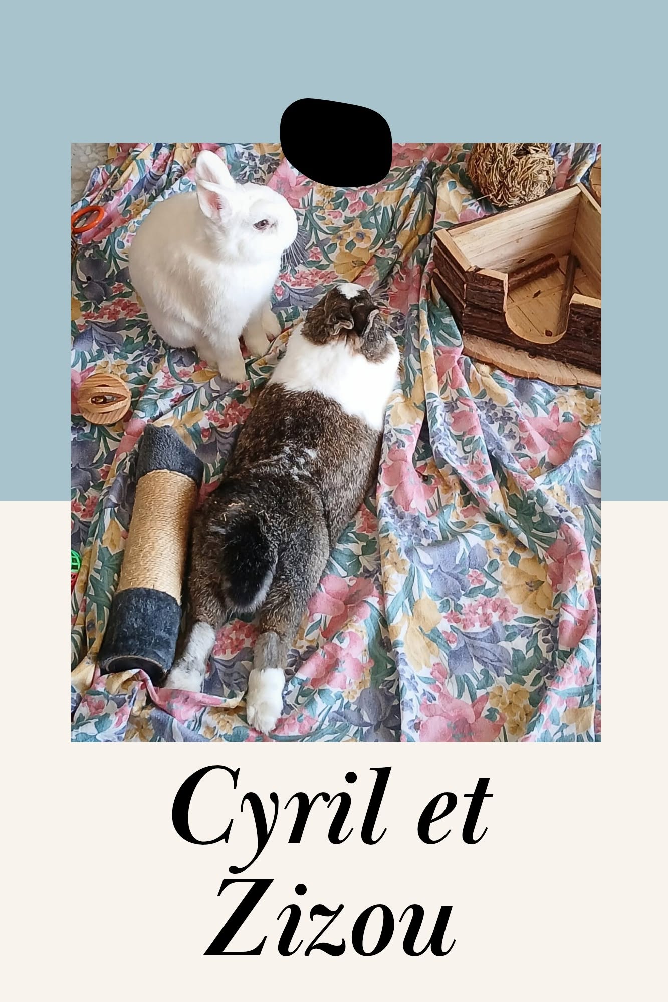 Cyril & Zizou